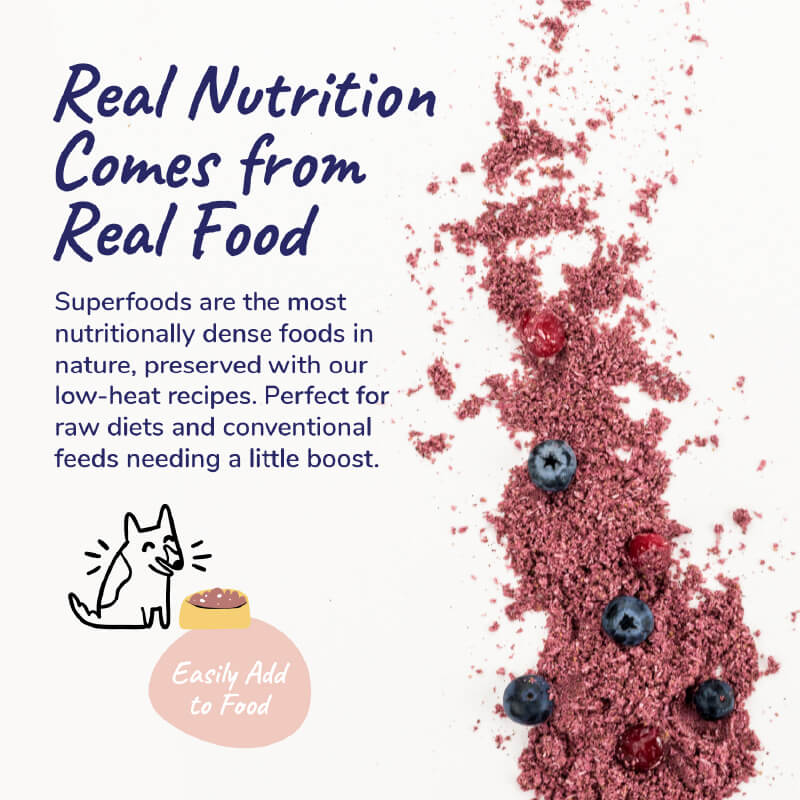 kin+kind Organic Immunity Support Supplement - Vanillapup Online Pet Store