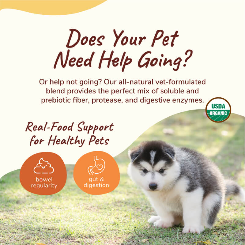 kin+kind Organic Healthy Poops Supplement - Vanillapup Online Pet Store