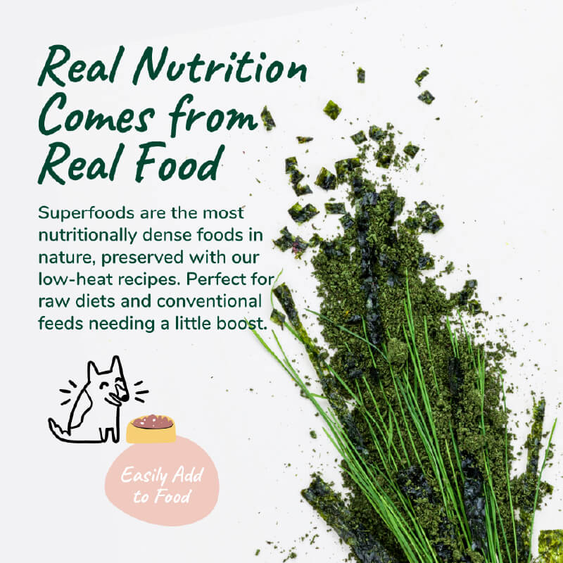 kin+kind Organic Skin & Coat Multivitamin Supplement - Vanillapup Online Pet Store