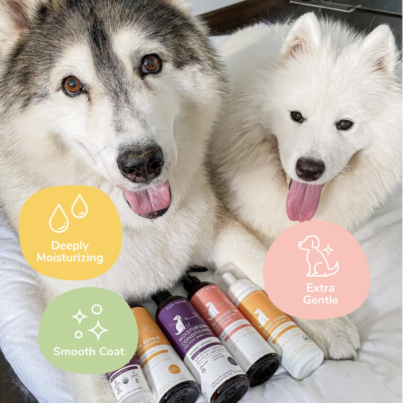 kin+kind Unscented Conditioner - Vanillapup Online Pet Store