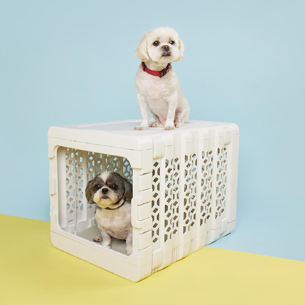 PAWD® Collapsible Plastic Pet Crate