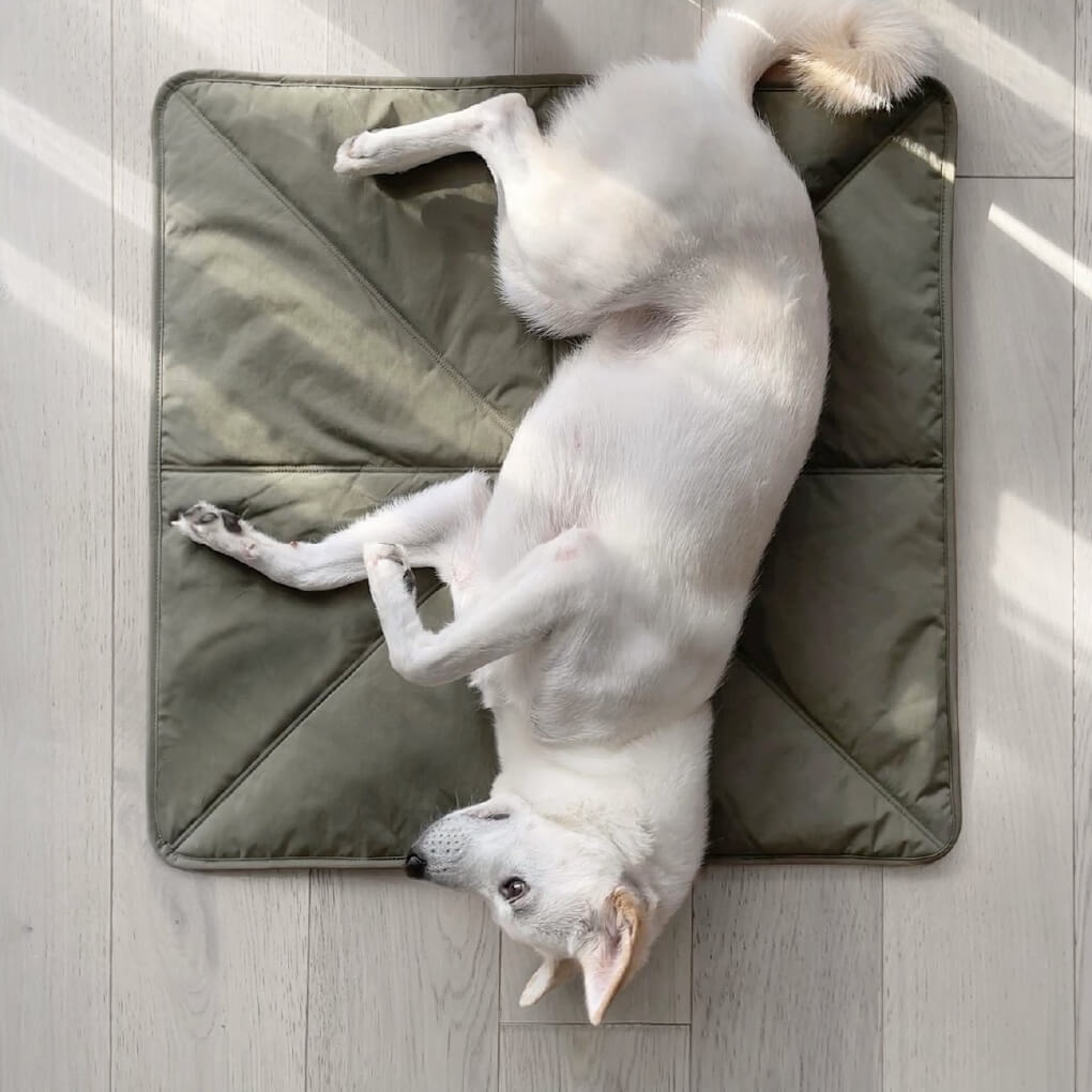 Lambwolf ORII Ultra Light Travel Mat | Fern - Vanillapup Online Pet Store