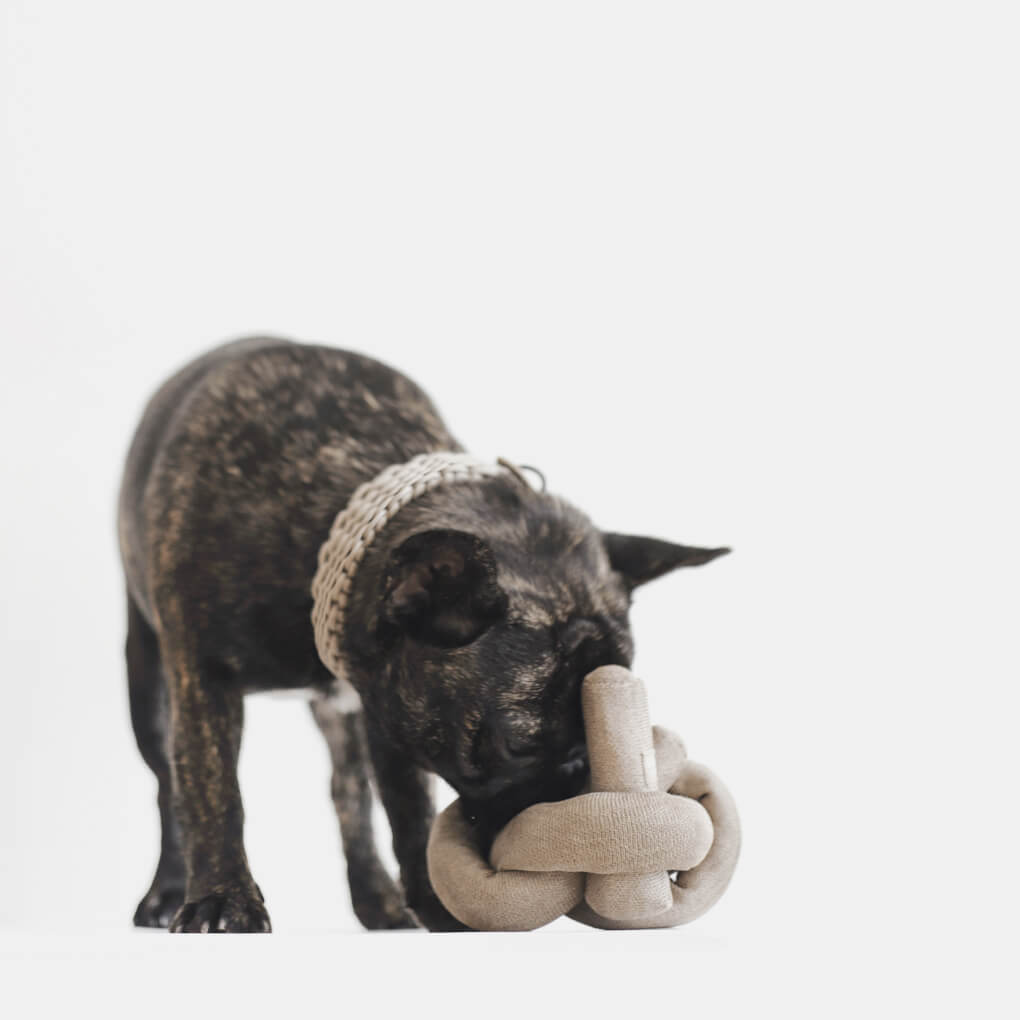 Lambwolf Crinkle NOUNOU | Tan - Vanillapup Online Pet Store
