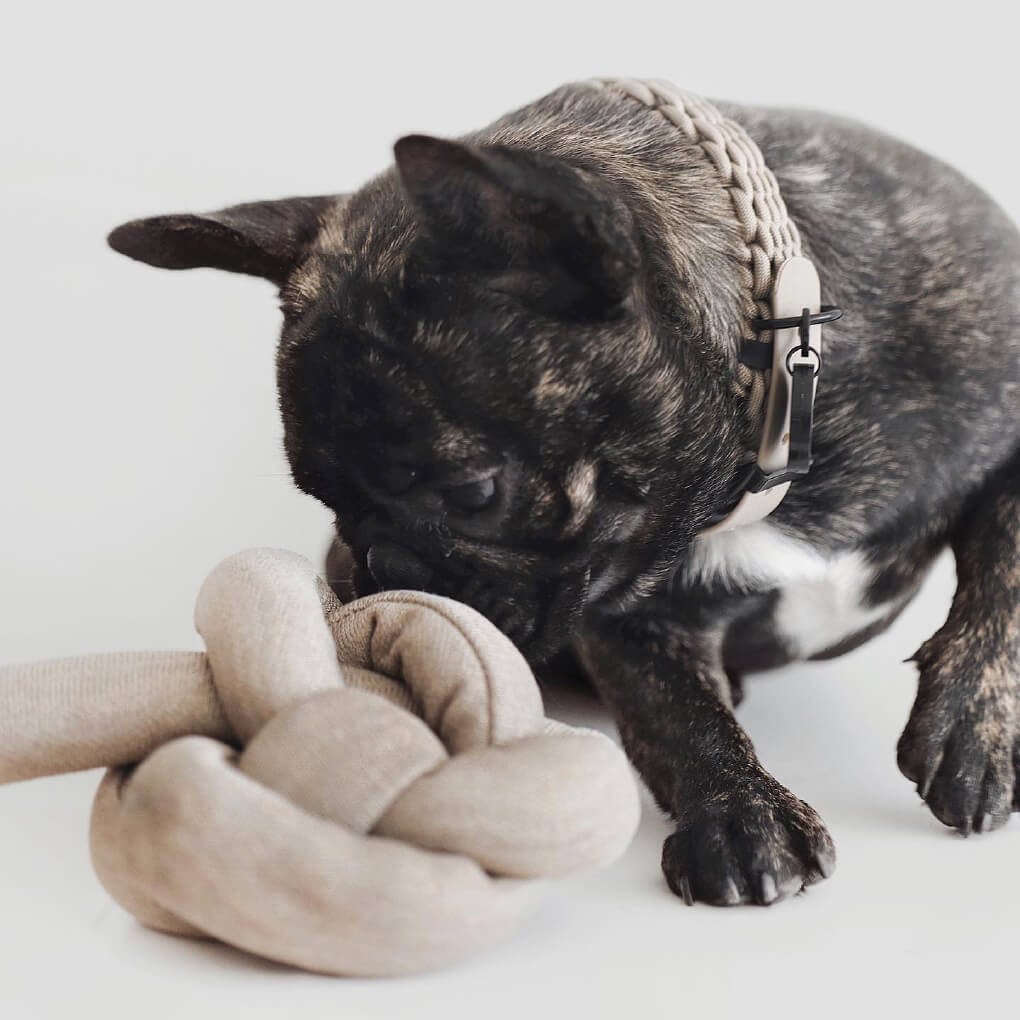 Lambwolf Crinkle NOUNOU | Tan - Vanillapup Online Pet Store