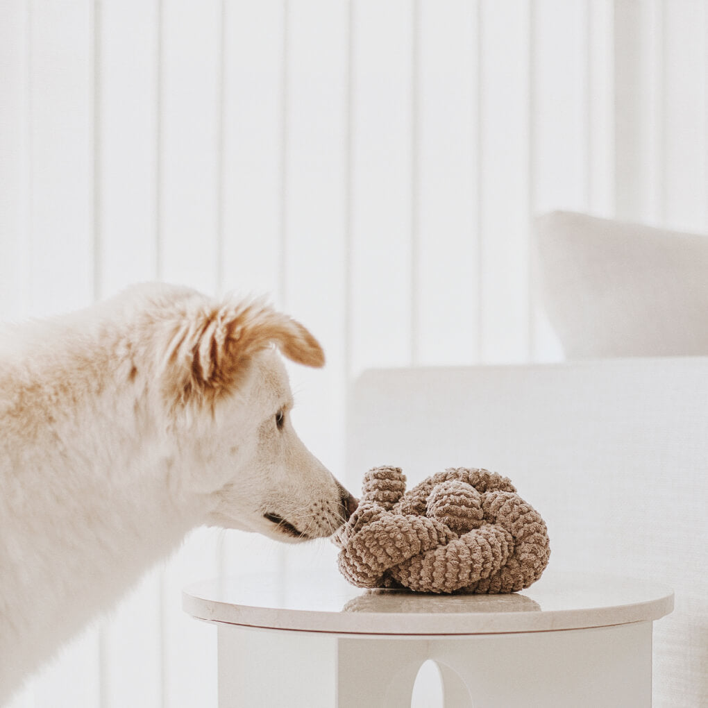 Lambwolf Squeaky NOU | Taupe - Vanillapup Online Pet Store