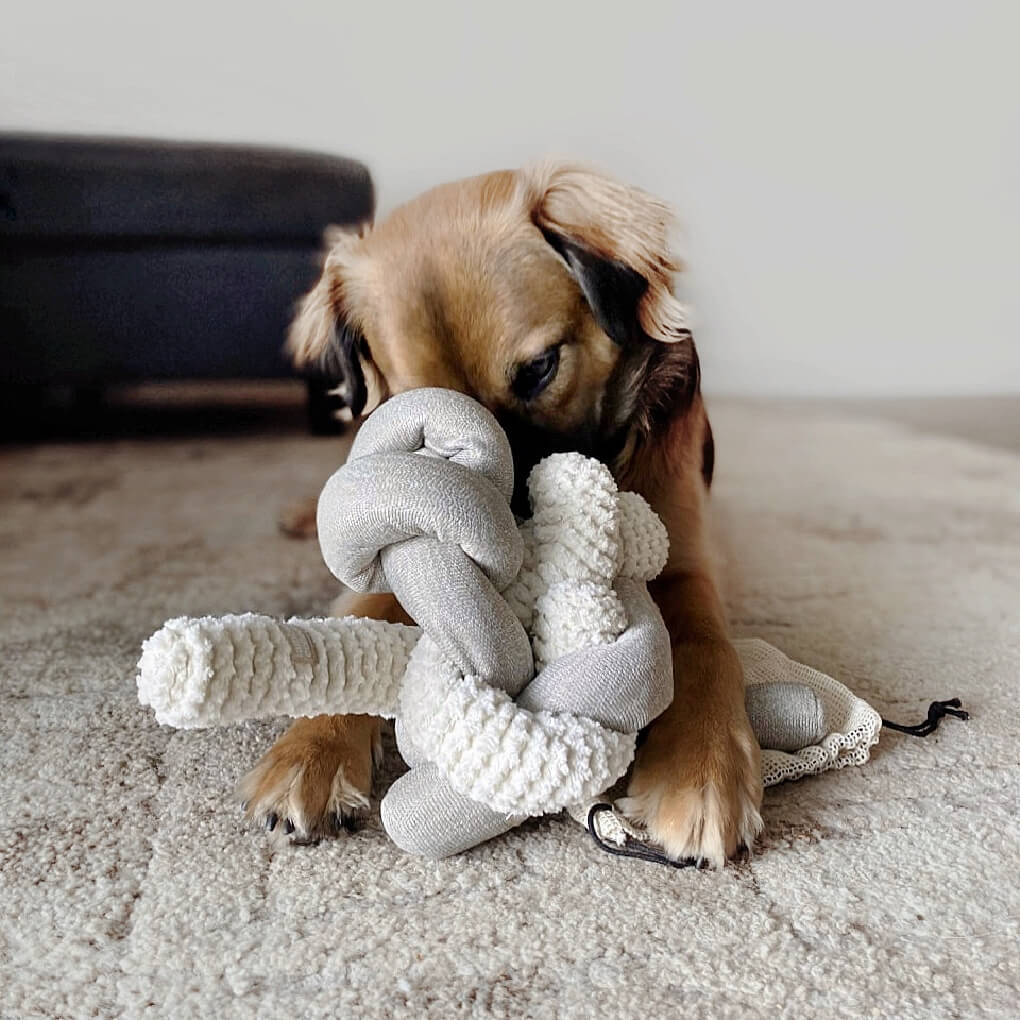 Lambwolf Squeaky NOU | Cream - Vanillapup Online Pet Store