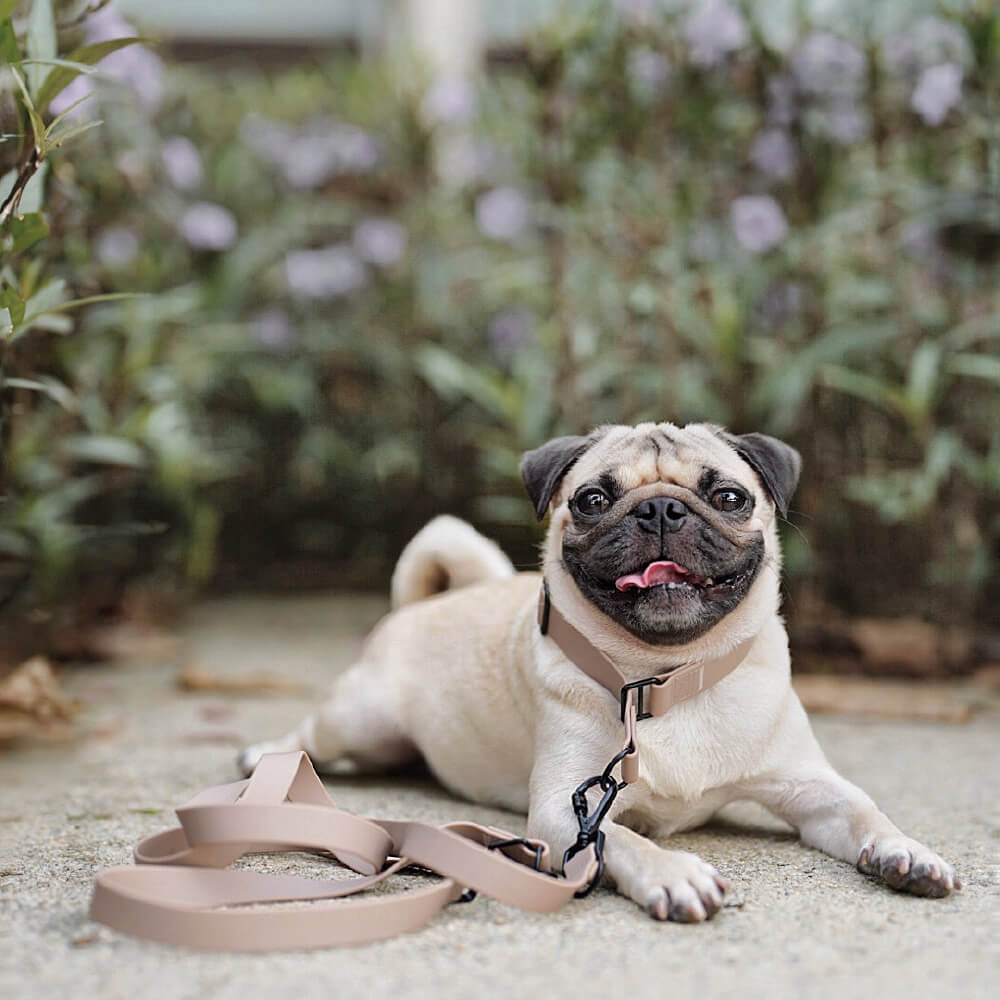 Lambwolf MELLEM Waterproof Convertible Leash - Vanillapup Online Pet Store
