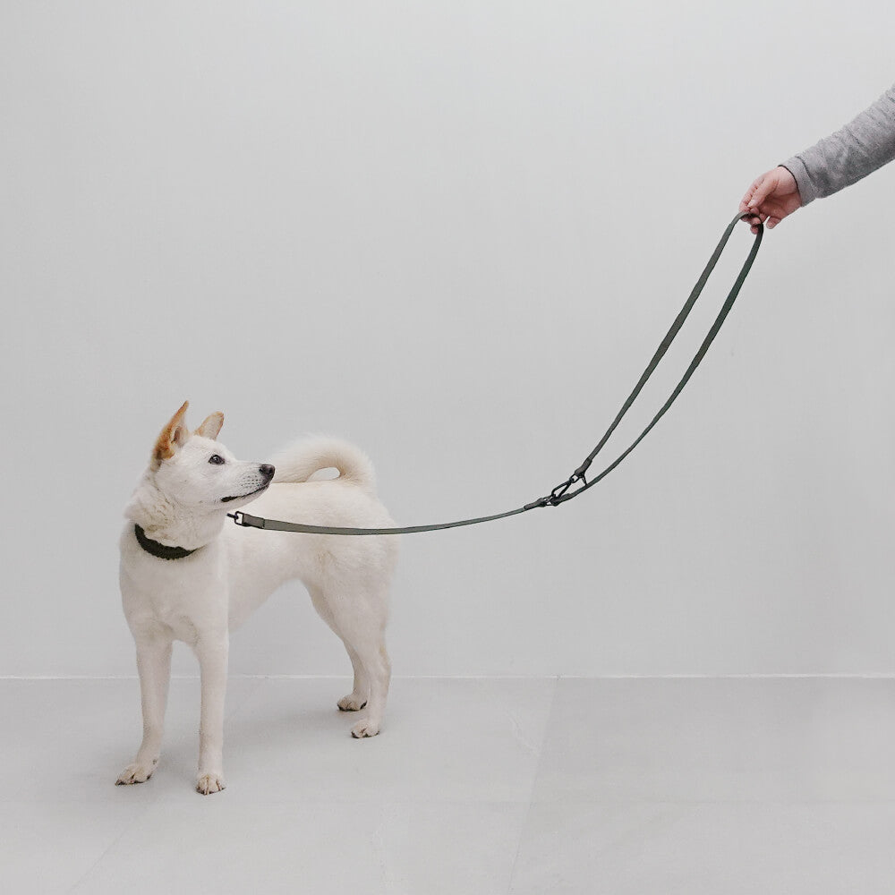 Lambwolf MELLEM Waterproof Convertible Leash - Vanillapup Online Pet Store