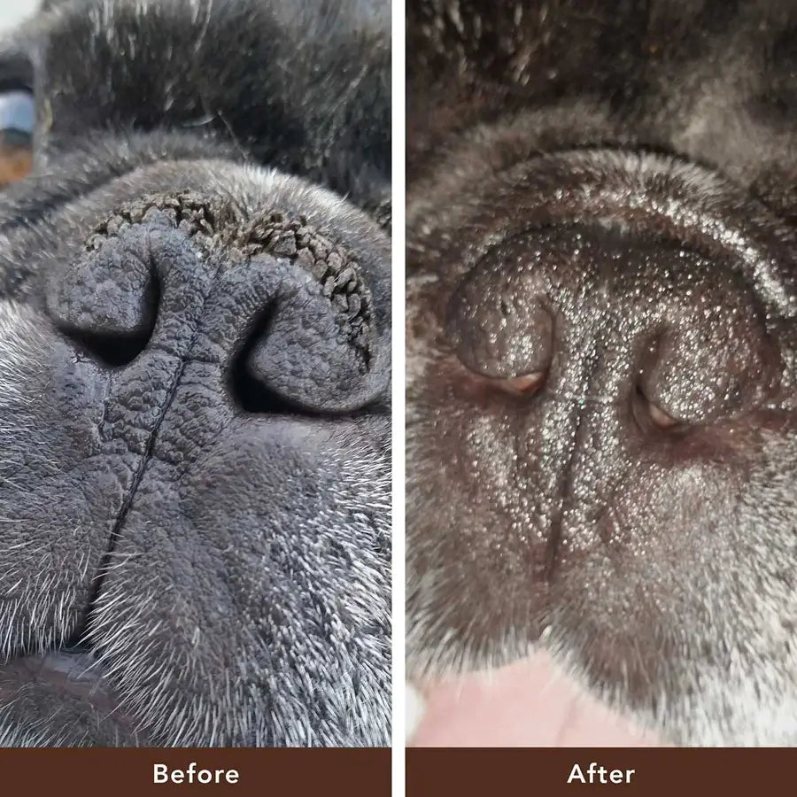 Natural Dog Company Snout Soother®