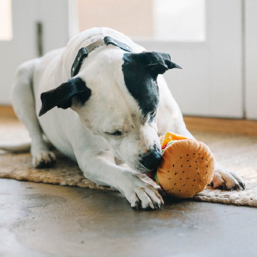 PLAY American Classic Barky Burger Plush Toy - Vanillapup Online Pet Store