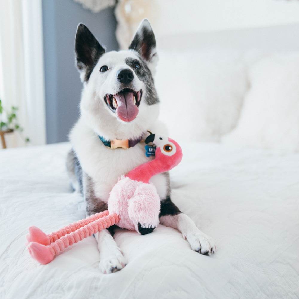 PLAY Fetching Flock Flamingo Plush Toy - Vanillapup Online Pet Store