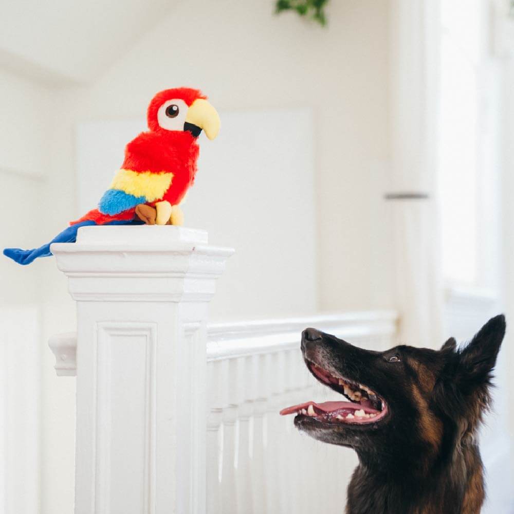 PLAY Fetching Flock Parrot Plush Toy - Vanillapup Online Pet Store