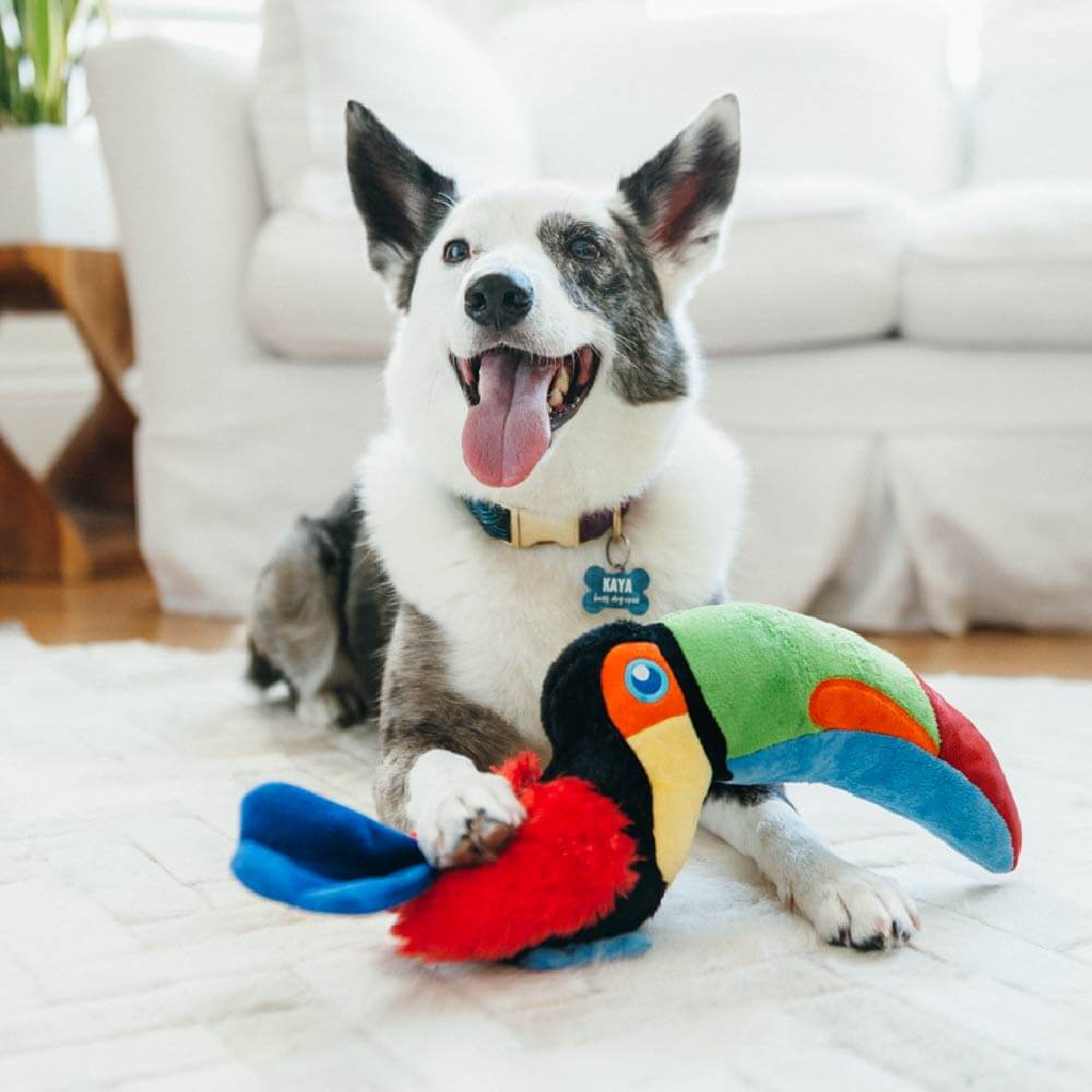 PLAY Fetching Flock Toucan Plush Toy - Vanillapup Online Pet Store