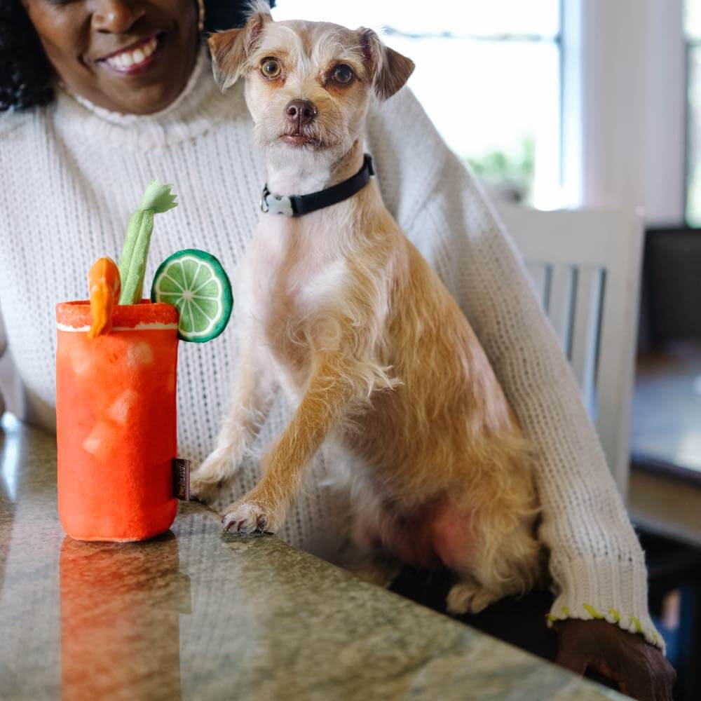 PLAY Barking Brunch Bloody Mary Plush Toy - Vanillapup Online Pet Store