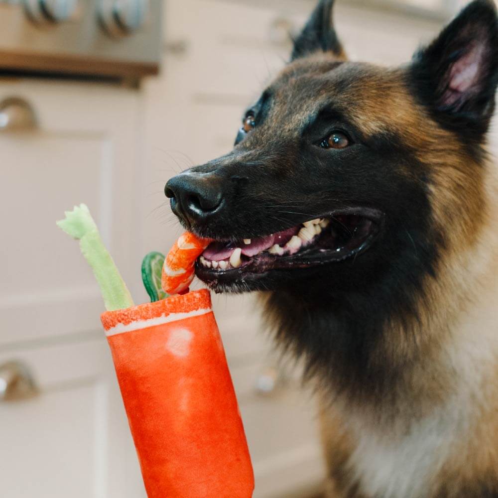 PLAY Barking Brunch Bloody Mary Plush Toy - Vanillapup Online Pet Store
