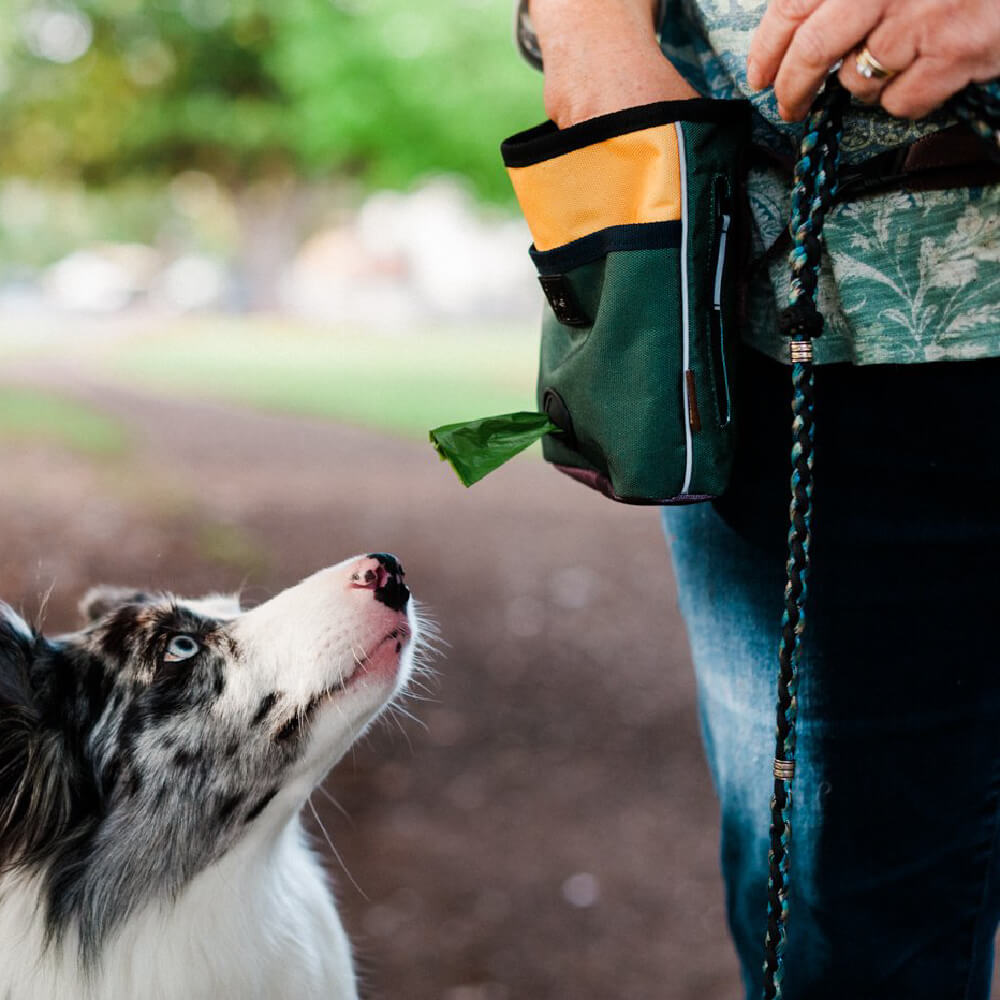 Scout & About Deluxe Training Pouch | Moss - Vanillapup Online Pet Store