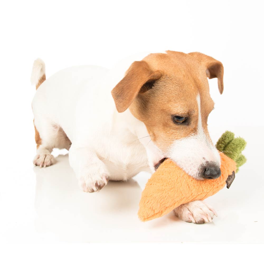 PLAY Garden Fresh Carrot Plush Toy - Vanillapup Online Pet Store