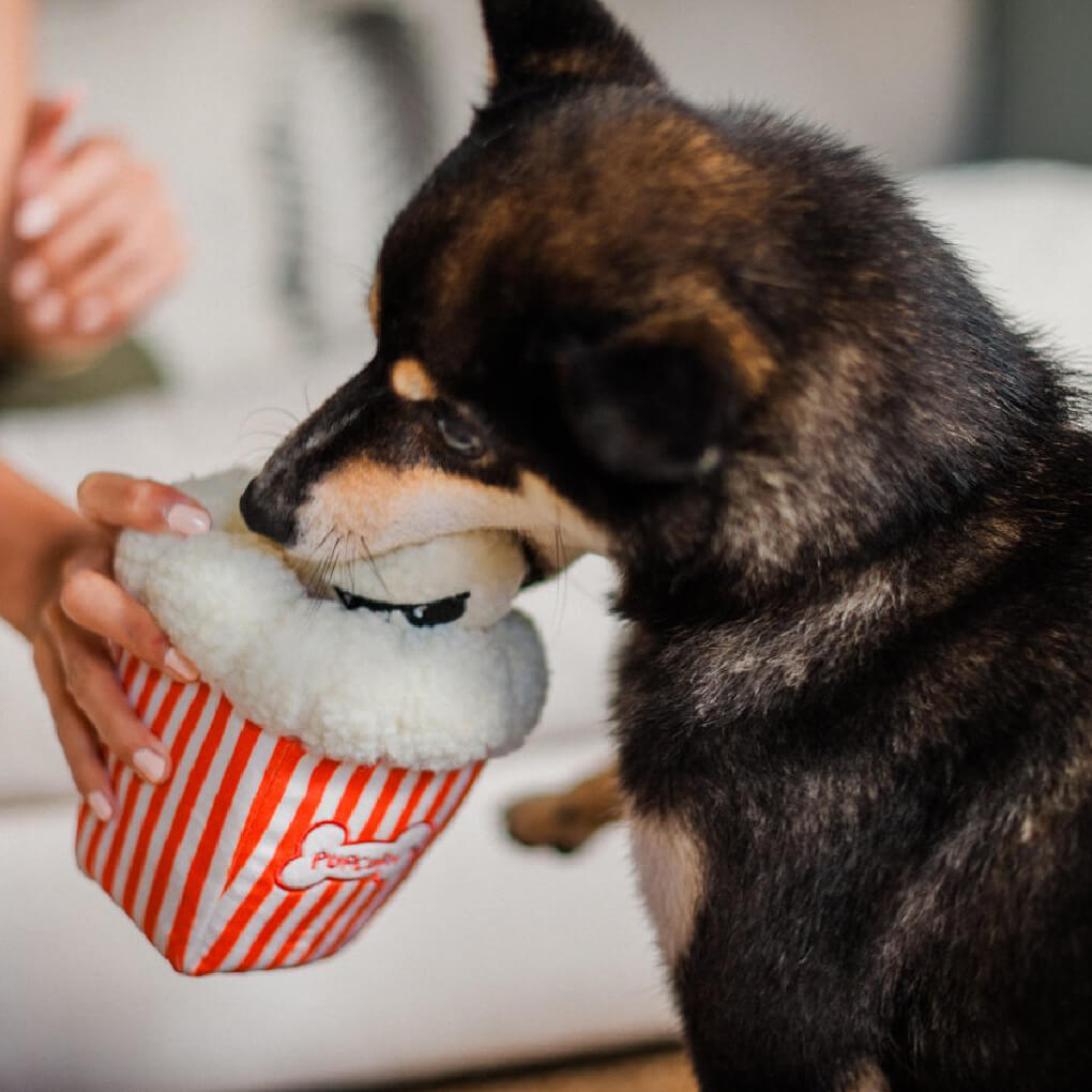 PLAY Hollywoof Cinema Poppin Popcorn - Vanillapup Online Pet Store