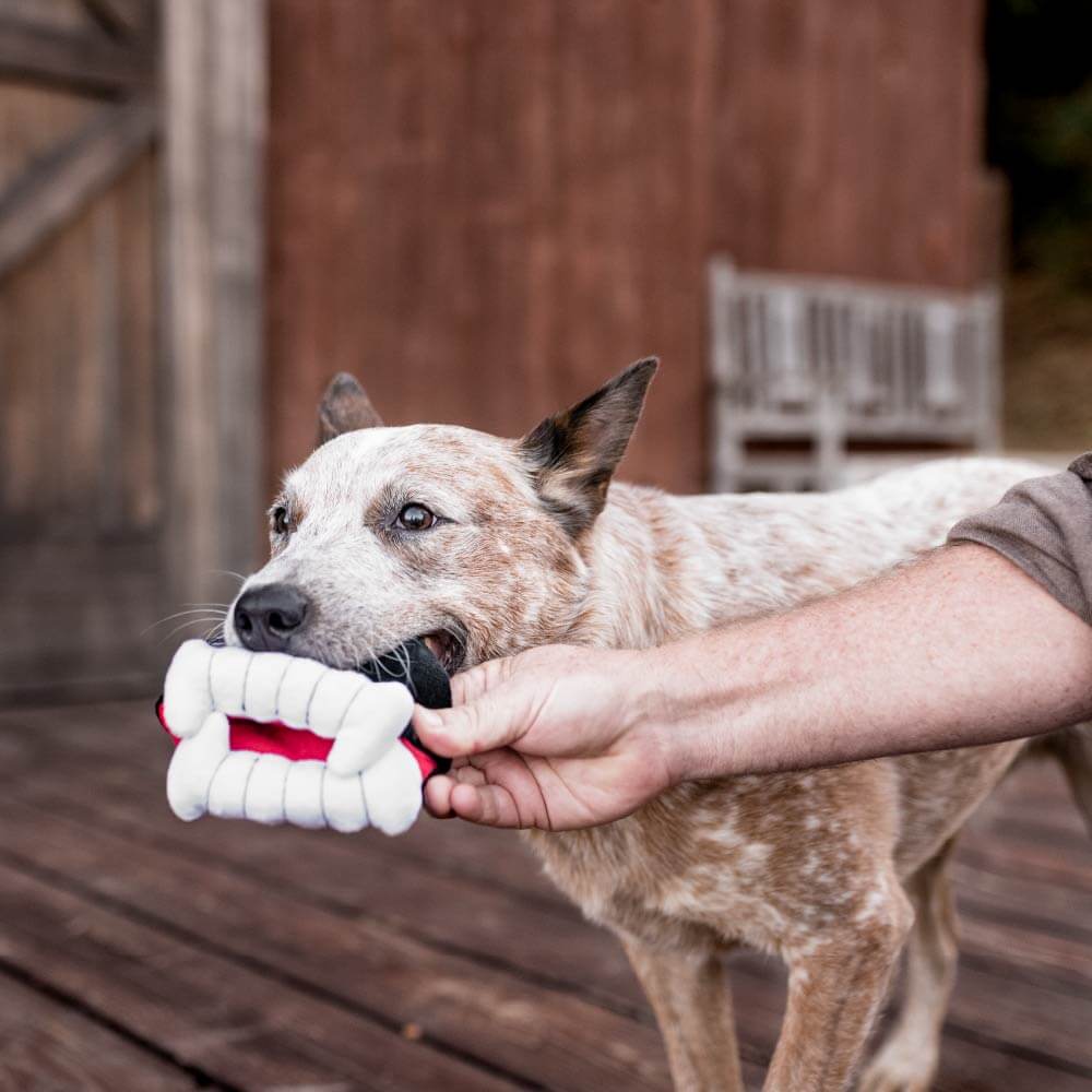 PLAY Howling Haunts Barky's Bite Plush Toy - Vanillapup Online Pet Store