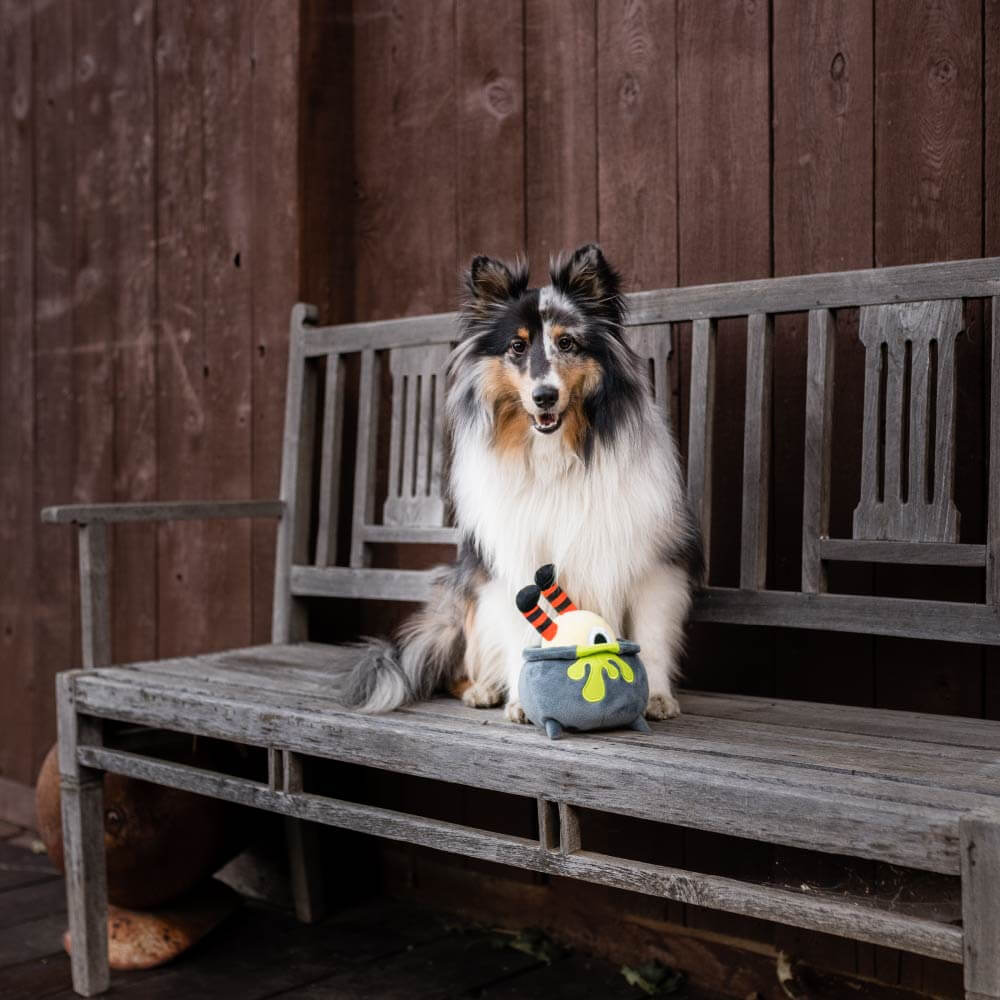 PLAY Howling Haunts Pup's Potion Plush Toy - Vanillapup Online Pet Store