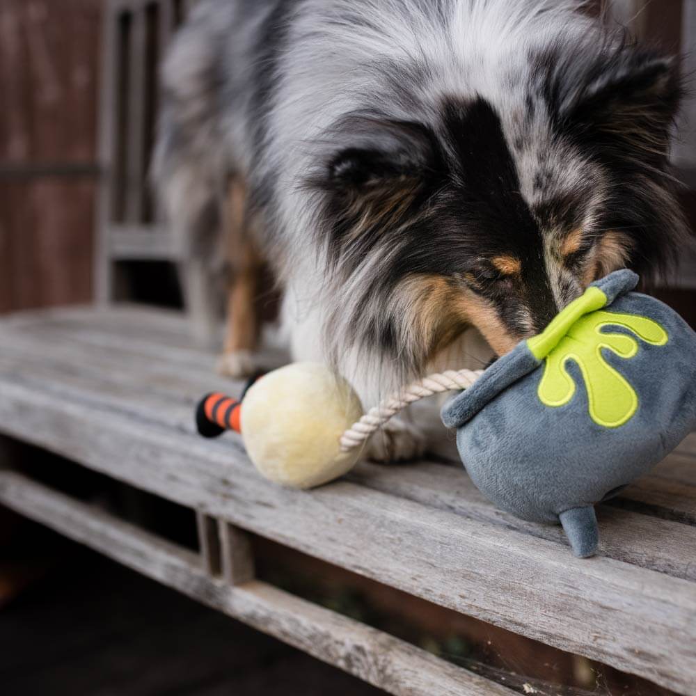 PLAY Howling Haunts Pup's Potion Plush Toy - Vanillapup Online Pet Store