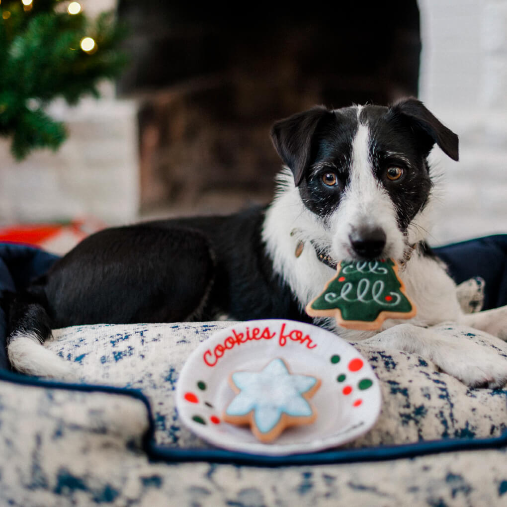 PLAY Merry Woofmas Christmas Eve Cookies Toy - Vanillapup Online Pet Store