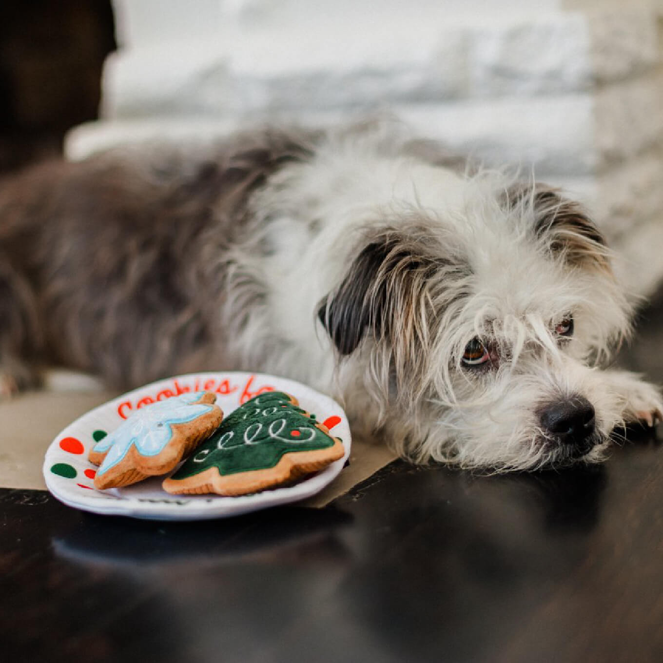 PLAY Merry Woofmas Christmas Eve Cookies Toy - Vanillapup Online Pet Store