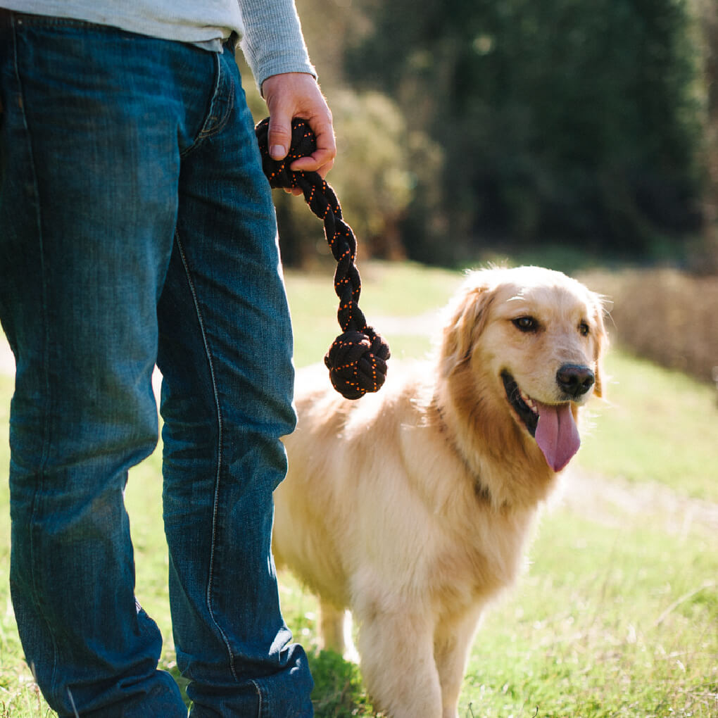 Scout & About Barbell Rope Toy - Vanillapup Online Pet Store