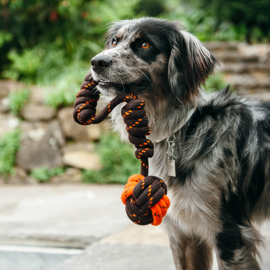 Scout & About Tug Ball Rope Toy - Vanillapup Online Pet Store