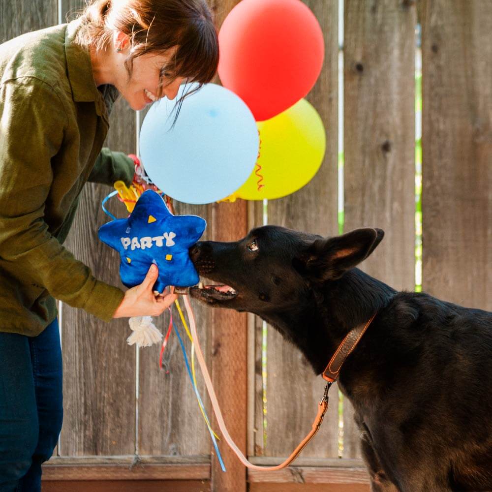 PLAY Party Time Best Time Ever Balloon Plush Toy - Vanillapup Online Pet Store