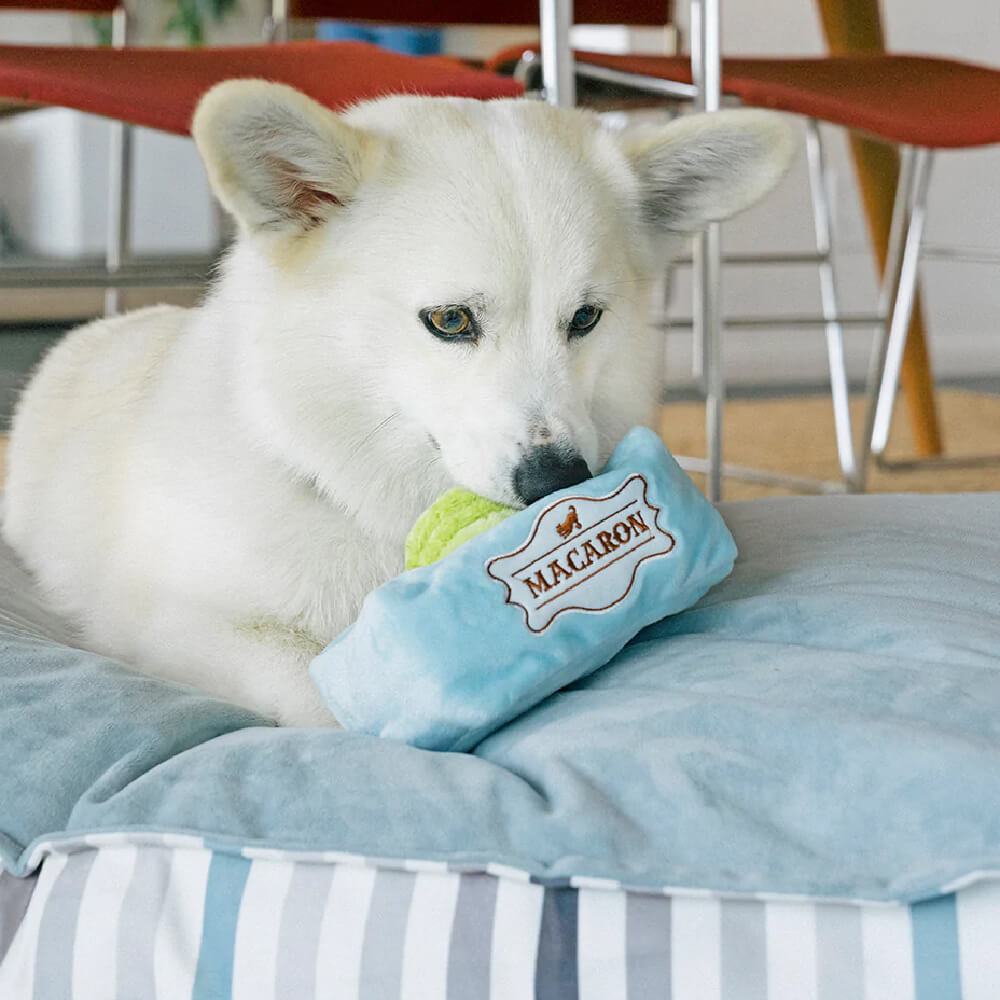 PLAY Pup Cup Cafe Macarons Toy