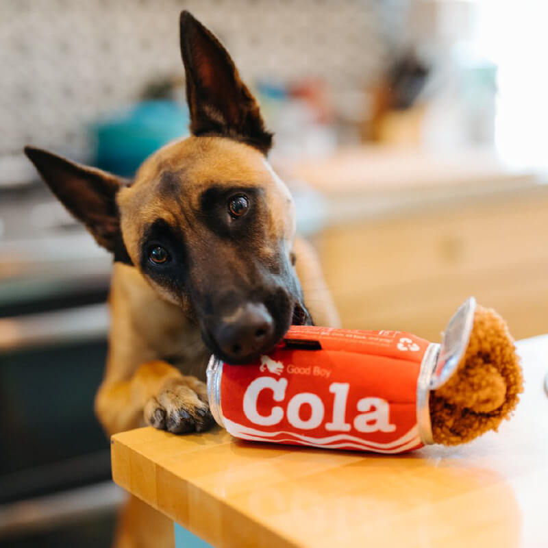 PLAY Snack Attack Good Boy Cola Plush Toy - Vanillapup Online Pet Store