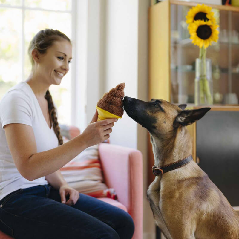 PLAY Blooming Buddies Sunflower Plush Toy - Vanillapup Online Pet Store