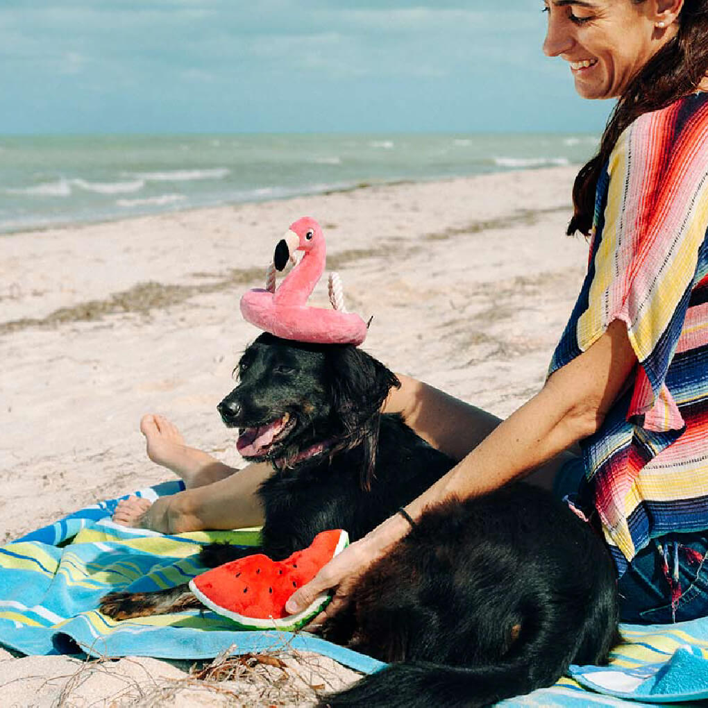 PLAY Tropical Paradise Wagging Watermelon - Vanillapup Online Pet Store