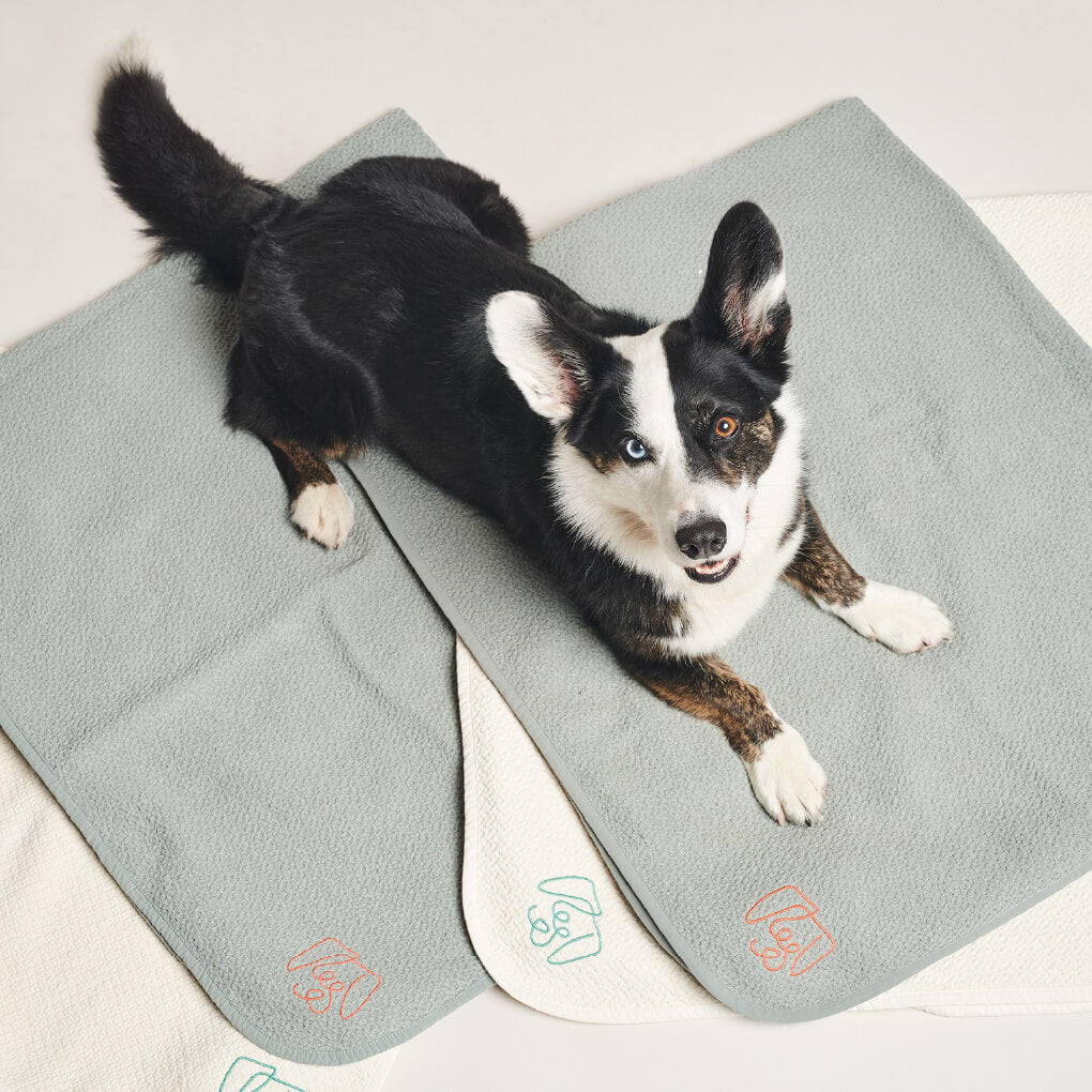 Pawness Honeycomb Organic Cotton Blanket | Grey - Vanillapup Online Pet Store