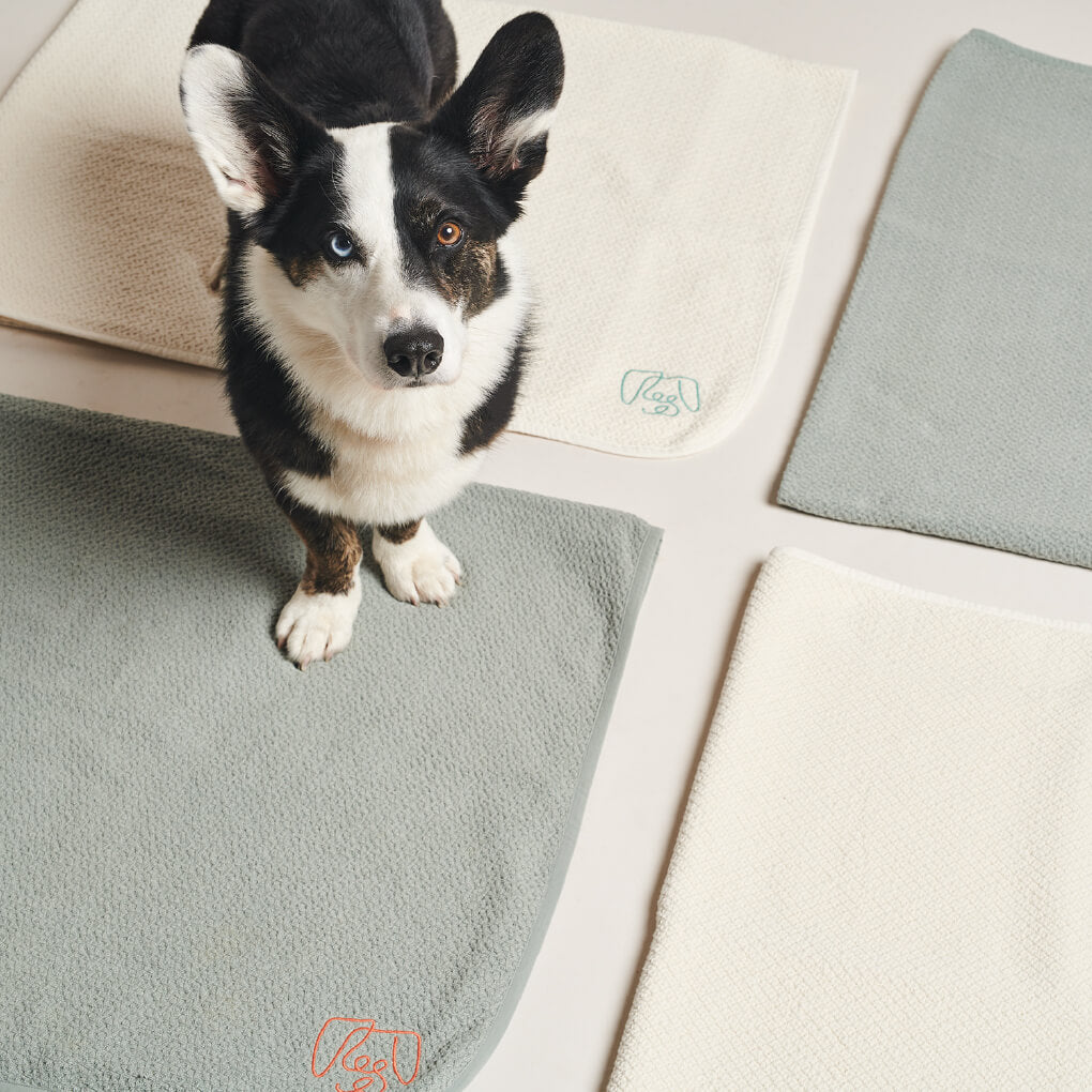 Pawness Honeycomb Organic Cotton Blanket | White - Vanillapup Online Pet Store