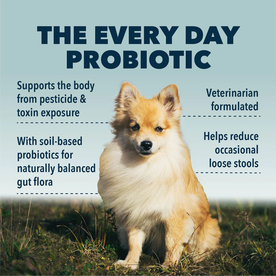 Four Leaf Rover PROTECT | Soil Based Probiotics