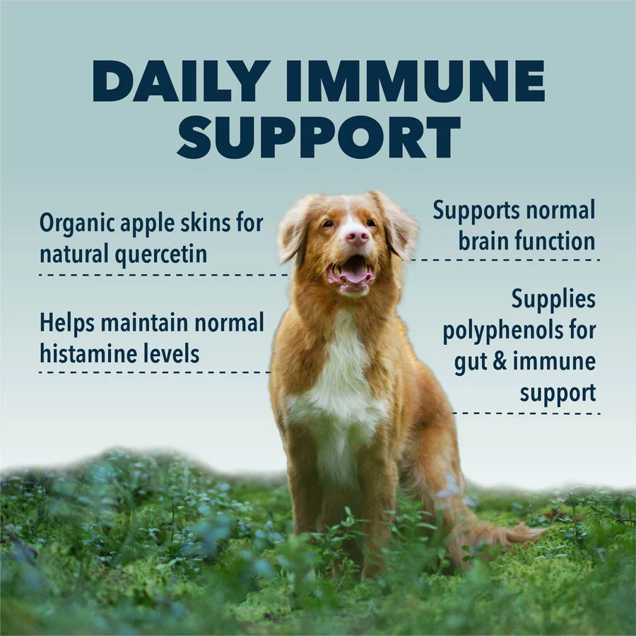 Four Leaf Rover Red Rover | Organic Berries for Dogs