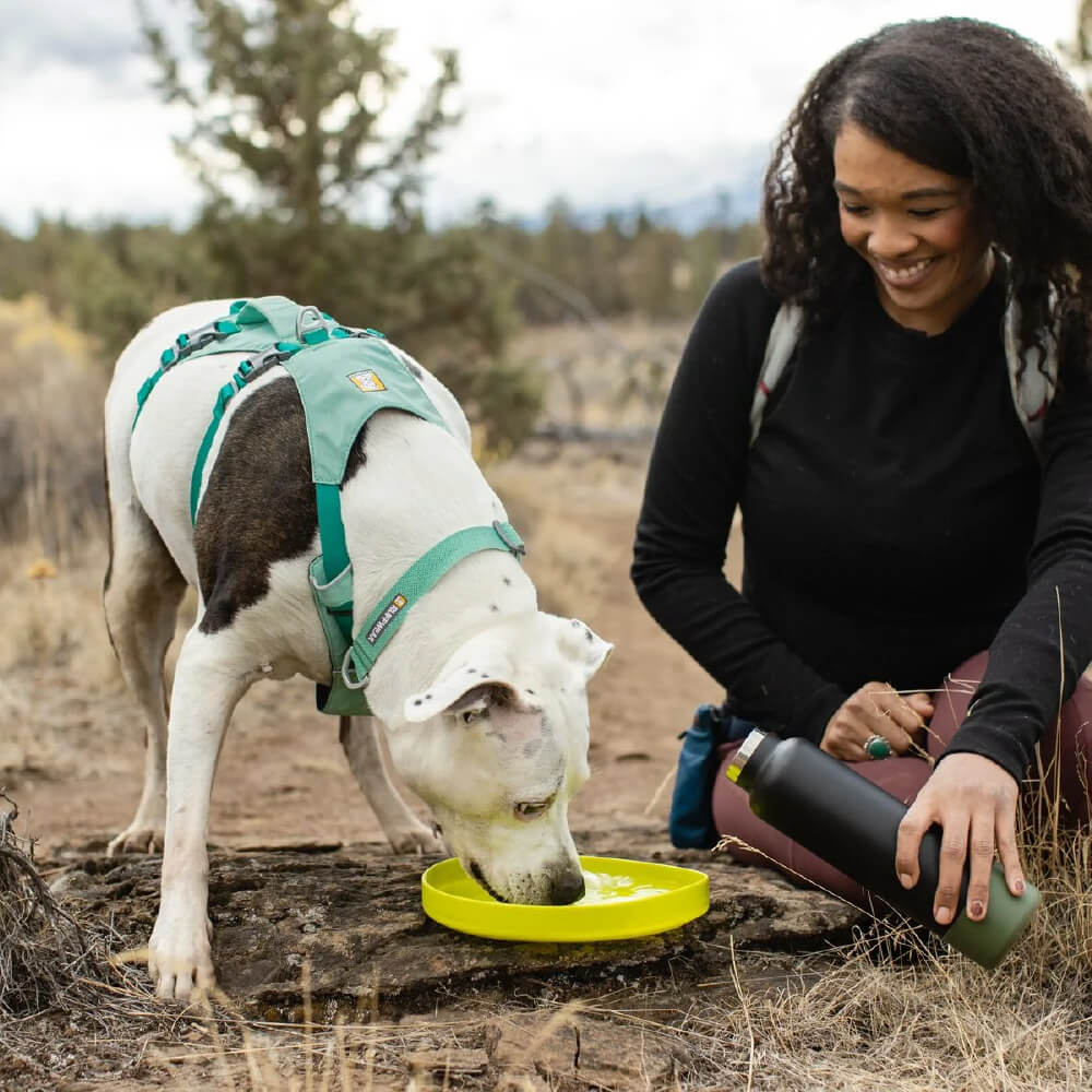 Ruffwear Camp Flyer™ Lightweight Flying Disc - Vanillapup Online Pet Store