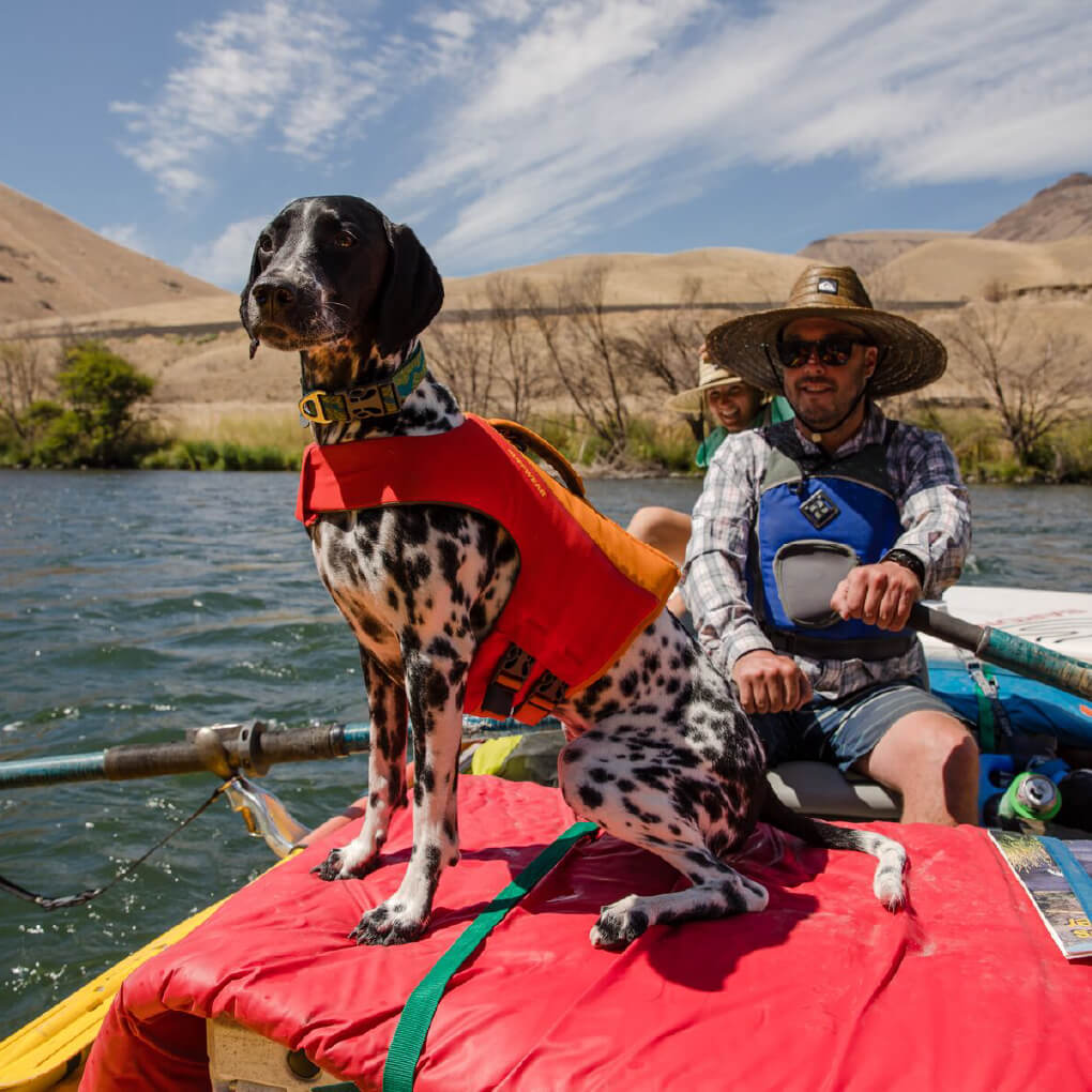 Ruffwear Float Coat™ Dog Life Jacket - Vanillapup Online Pet Store
