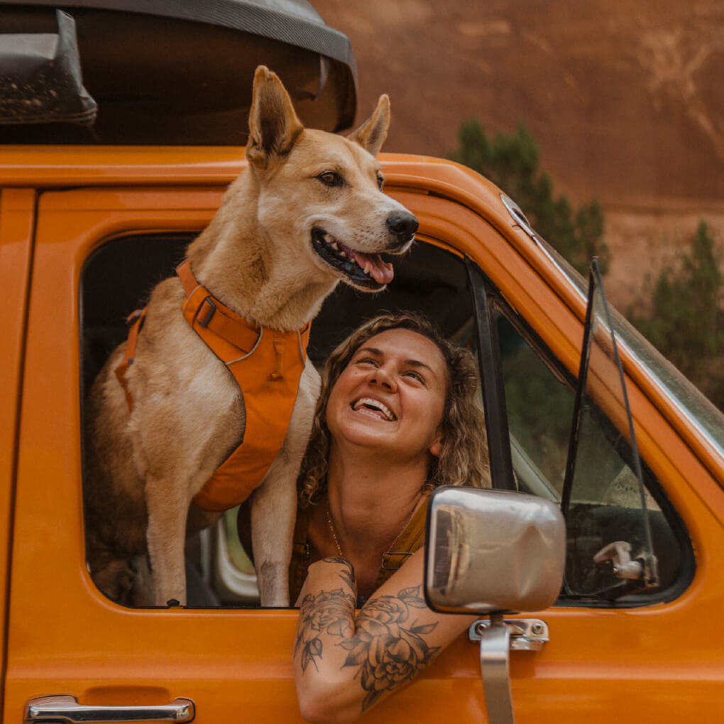 Ruffwear Front Range® No-Pull Everyday Dog Harness - Vanillapup Online Pet Store
