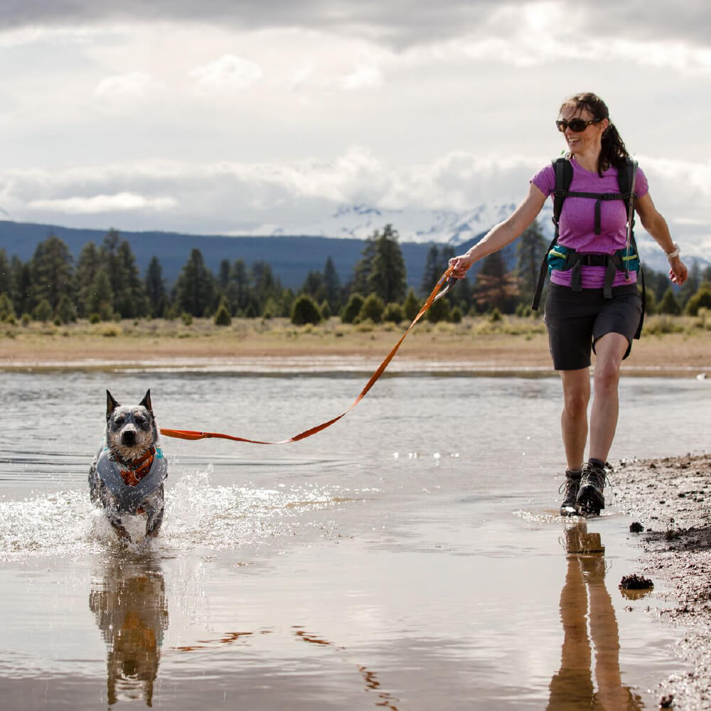 Ruffwear Front Range™ Ombré Lightweight Dog Leash - Vanillapup Online Pet Store