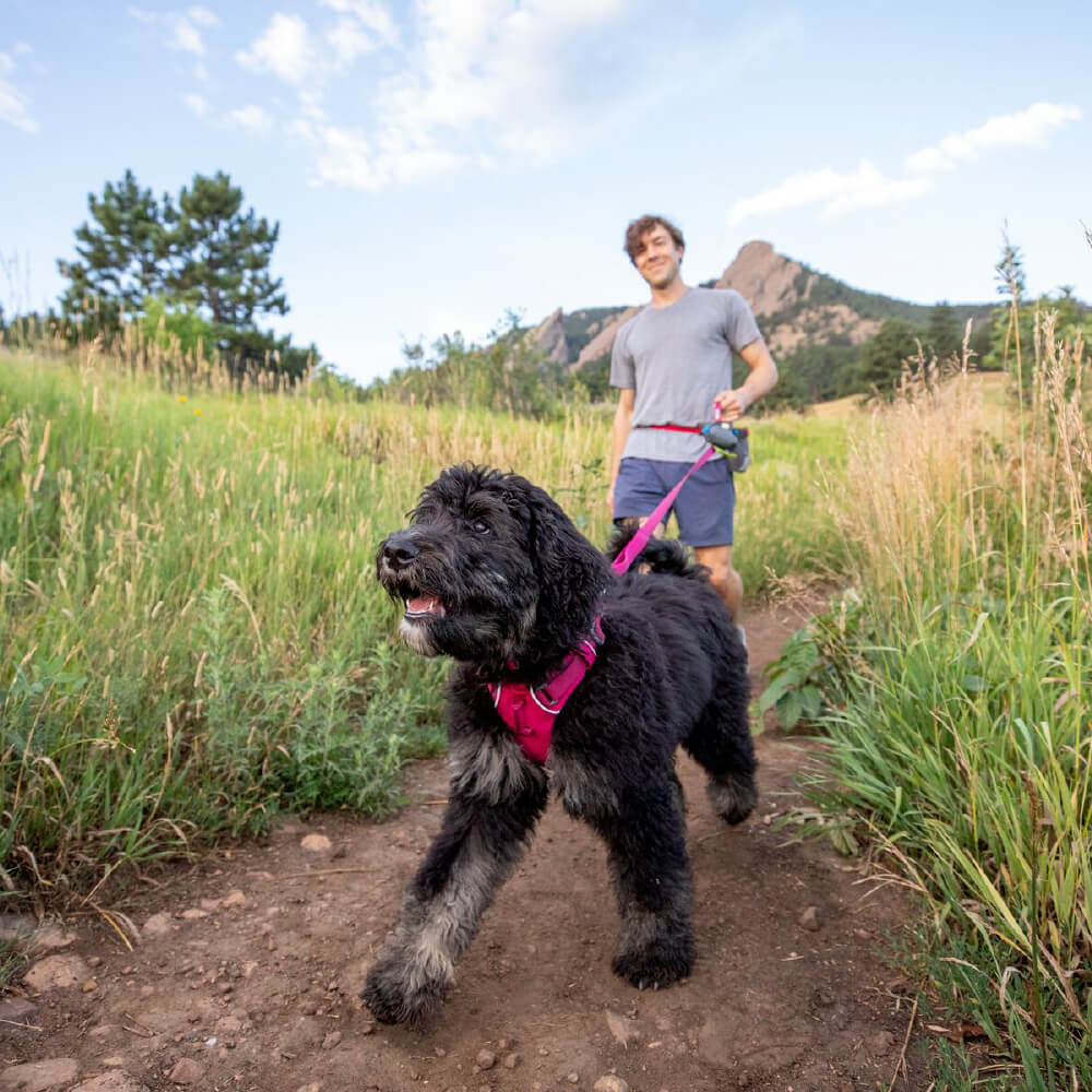 Ruffwear Front Range™ Ombré Lightweight Dog Leash - Vanillapup Online Pet Store