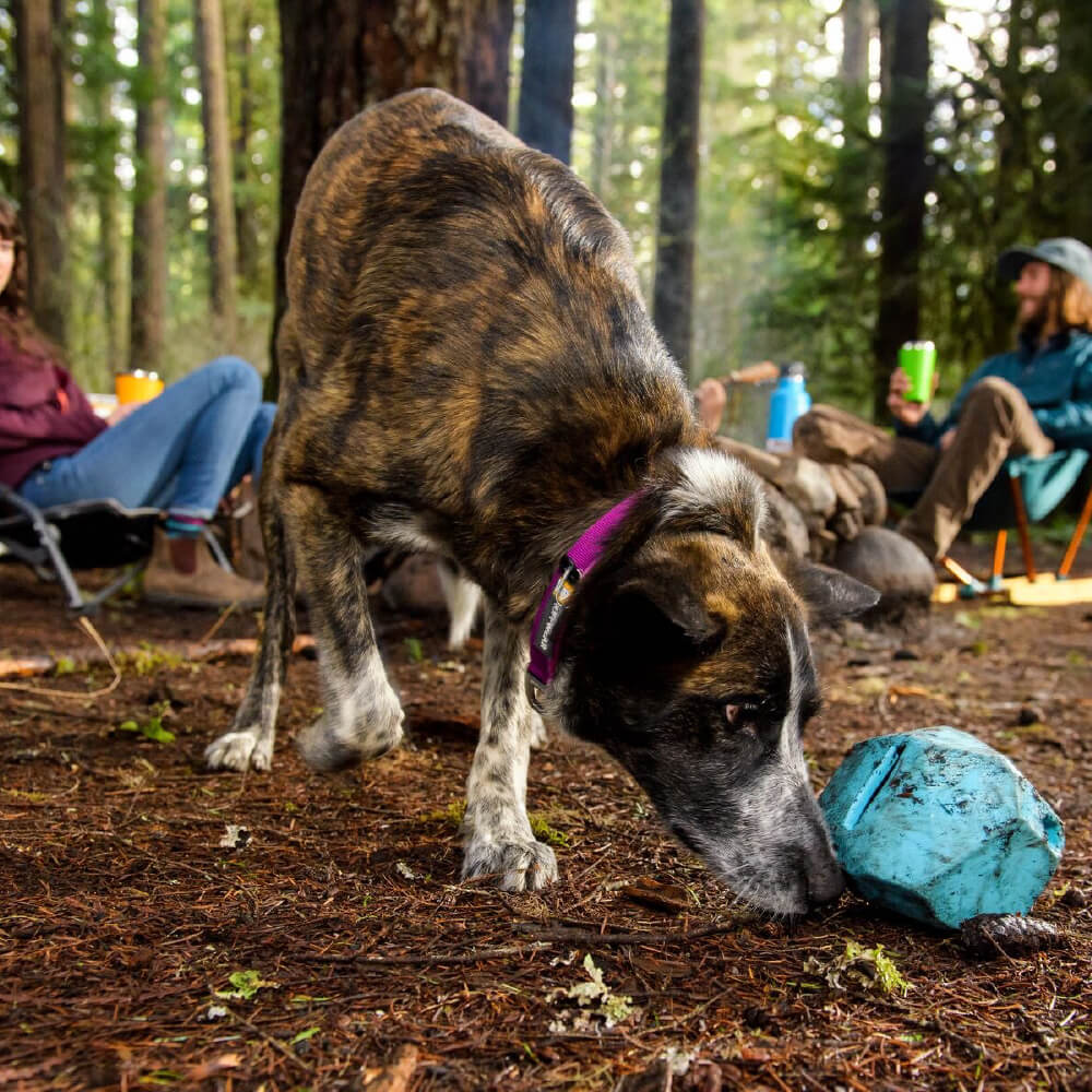 Ruffwear Gnawt-a-Rock™ Rubber Treat Dispenser Fetch Toy - Vanillapup Online Pet Store