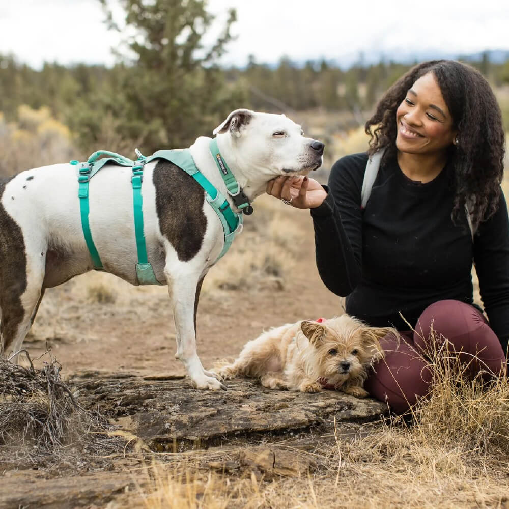 Ruffwear Hi & Light™ Lightweight Minimal Dog Collar - Vanillapup Online Pet Store