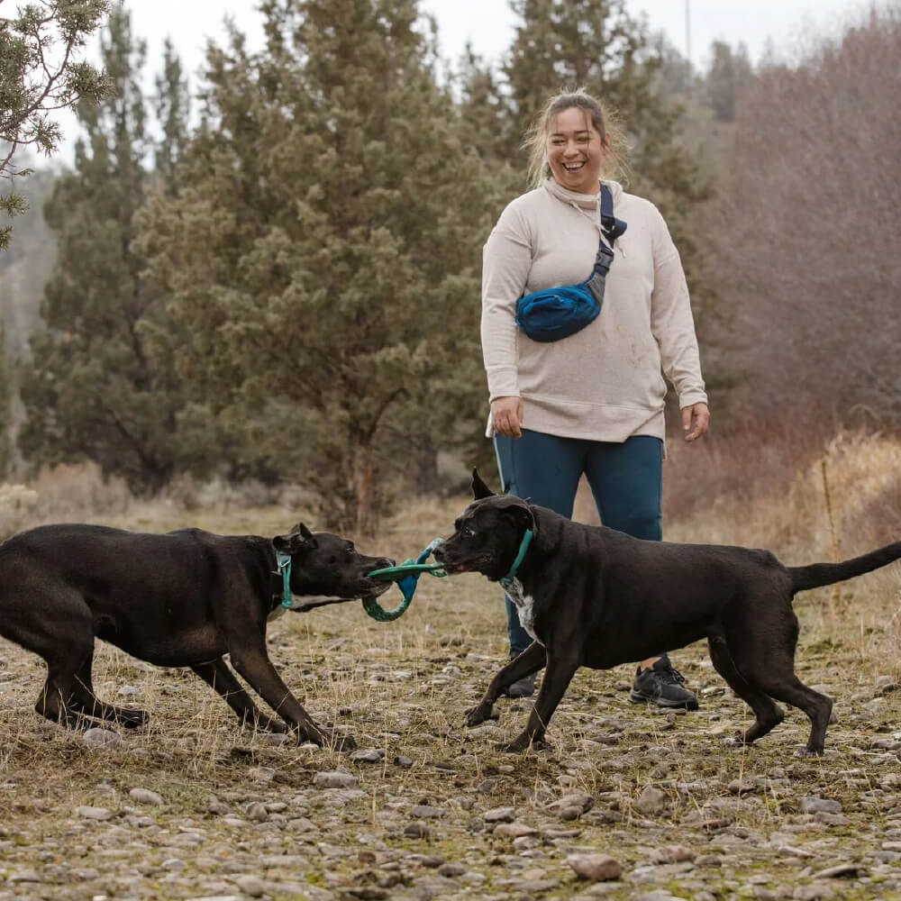 Ruffwear Pacific Ring™ - Vanillapup Online Pet Store