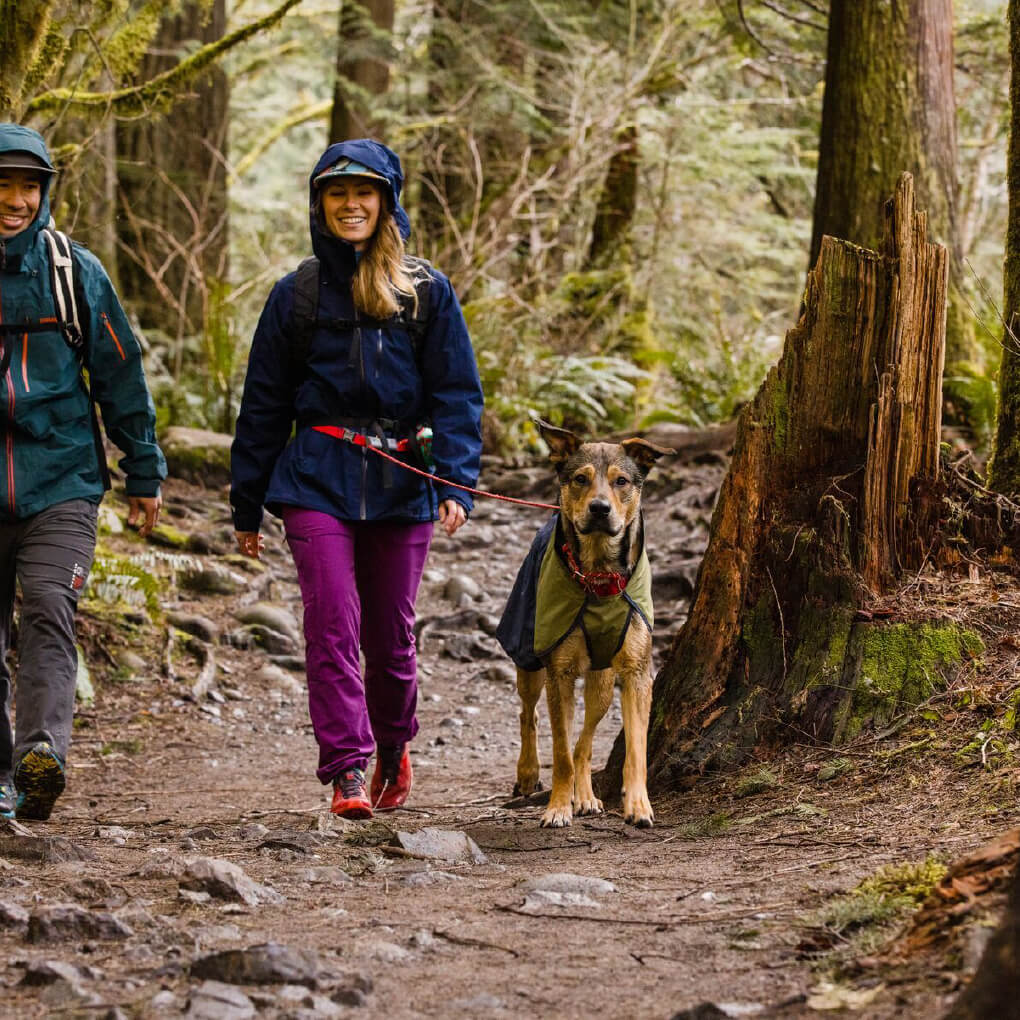Ruffwear Sun Shower™ Reflective Lightweight Dog Raincoat - Vanillapup Online Pet Store