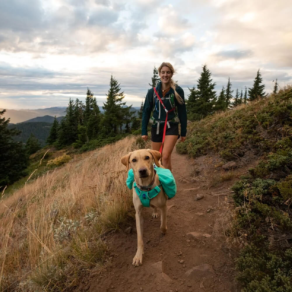 Ruffwear Switchbak™ Lightweight Multi-Function Dog Leash - Vanillapup Online Pet Store