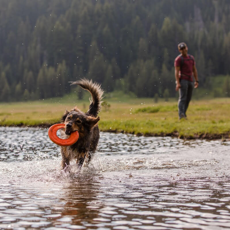 Ruffwear Hydro Plane™ - Vanillapup Online Pet Store