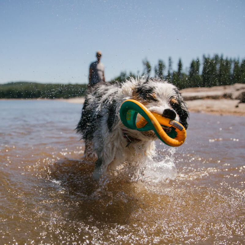 Ruffwear Hydro Plane™ - Vanillapup Online Pet Store